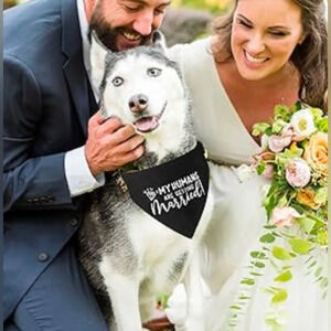 Dog Bandana My Humans Are Getting Married Wedding Engagement Black White L NWT